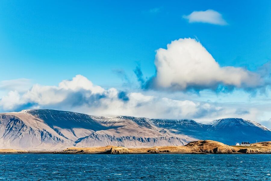 Reykjavík: Whale Watching and Marine Life Cruise - Reykjavík’s Harbor-to-Horizon Plan (and Why This Works)