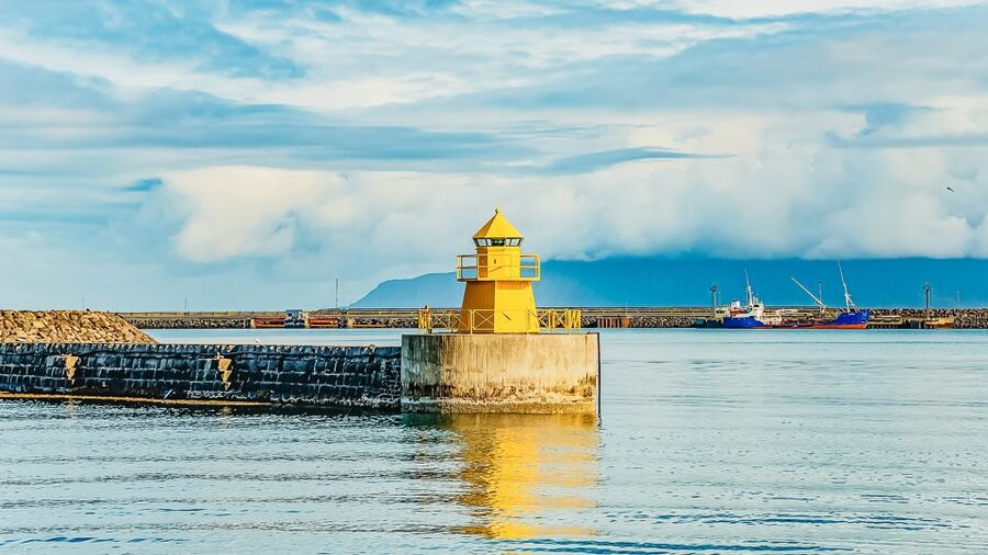 Reykjavík: Whale Watching and Marine Life Cruise - Who Should Book This Cruise (and Who Might Skip It)