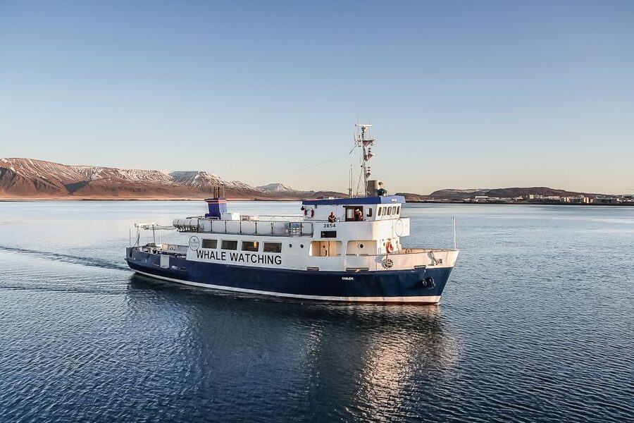 Reykjavík: Whale Watching and Marine Life Cruise - Check-In at Old Harbour House: Fast Entry, Less Stress