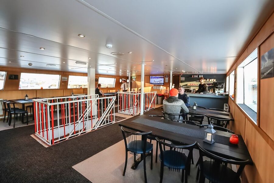 Reykjavík: Whale Watching and Marine Life Cruise - Onboard Extras: Wi‑Fi, Snacks, and Photo-Ready Viewing