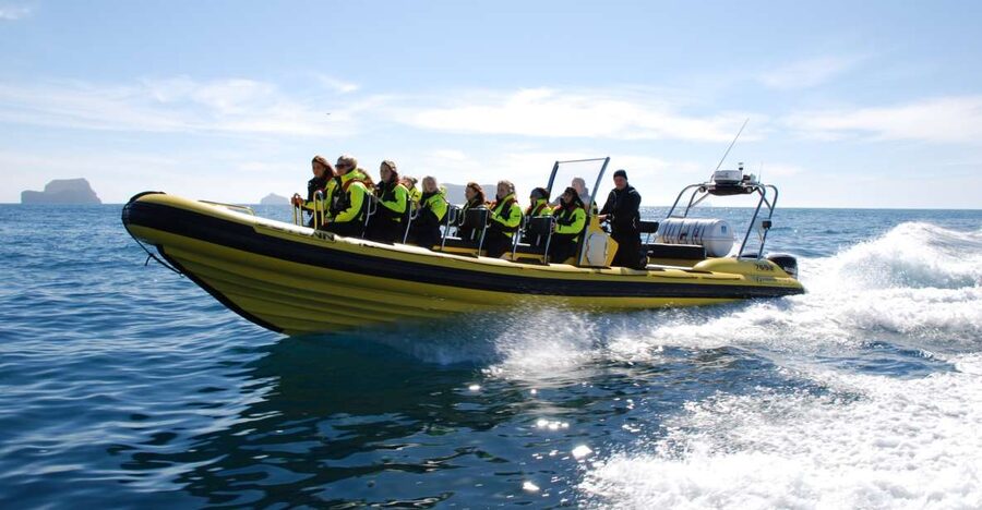 Reykjavik: Whale Watching by RIB Speedboat - Key Highlights at a Glance