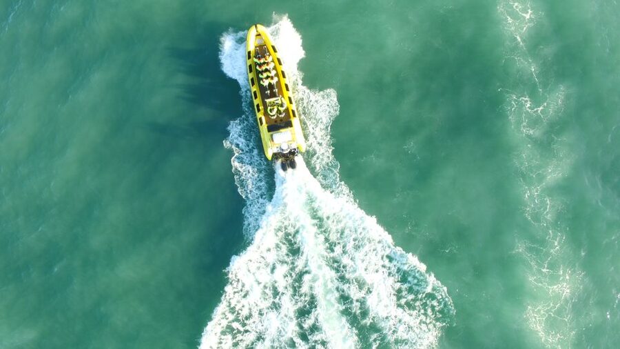 Reykjavik: Whale Watching by RIB Speedboat - Engey and Lundey: Islands That Change the Mood of the Trip