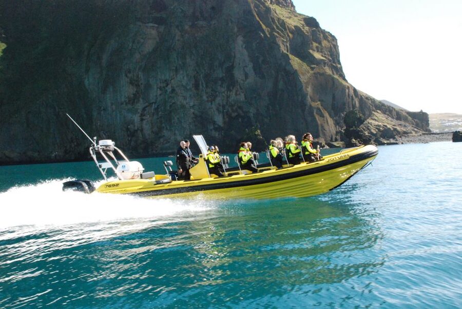Reykjavik: Whale Watching by RIB Speedboat - Price and Value: Is $200 Worth Two Hours of Spray?