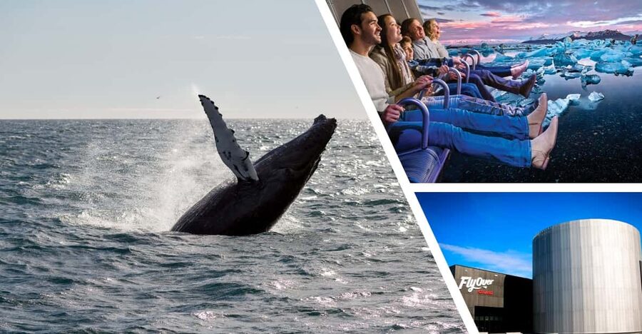 Reykjavík: Whale Watching Cruise and FlyOver Combo Ticket - Timing and troubleshooting: keep your plan flexible