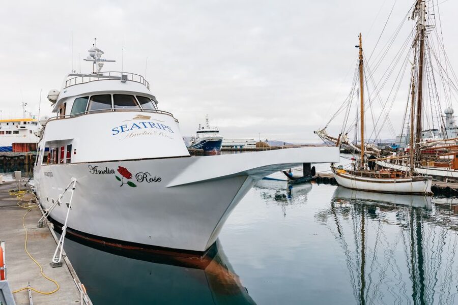 Reykjavík: Whale Watching Cruise on the Amelia Rose Yacht - Why the Amelia Rose Yacht Makes Whale Watching More Comfortable