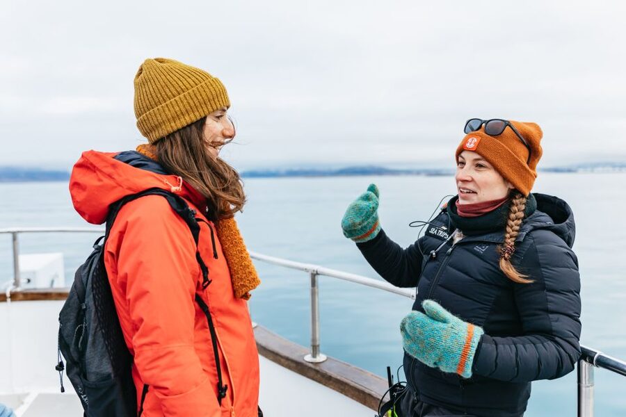 Reykjavík: Whale Watching Cruise on the Amelia Rose Yacht - What the Cruise Route Really Feels Like (City Views to Open Water)