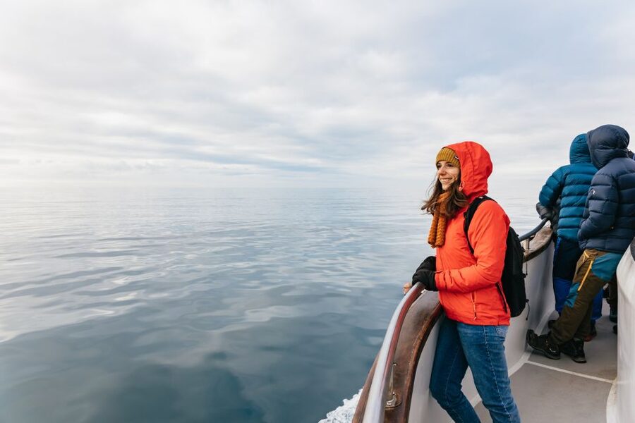 Reykjavík: Whale Watching Cruise on the Amelia Rose Yacht - When the Ocean Doesn’t Cooperate: Return Ticket Logic