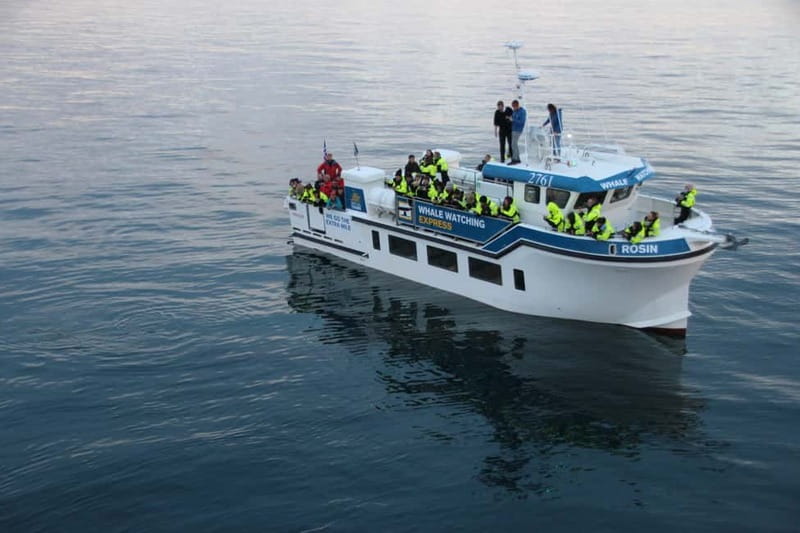 Reykjavik: Whale Watching Express - Getting Your Bearings: Deck Setup And How You’ll Actually Watch