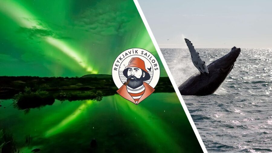 Reykjavik: Whale Watching & Northern Lights Combo Cruise - Where the day starts: Geirsgata 11 and getting on the right mindset