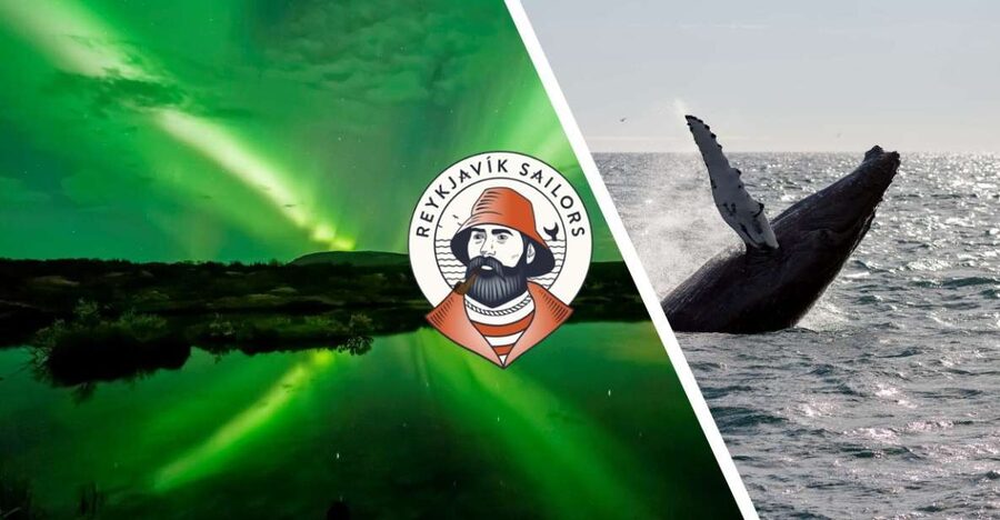 Reykjavik: Whale Watching & Northern Lights Combo Cruise - What you’ll do during the big Reykjavik break (and how to make it useful)