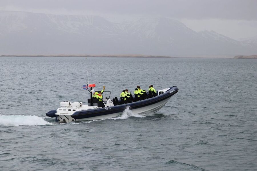 Reykjavik: Whale Watching Tour by RIB Boat - Puffin nesting grounds at Akurey (summer only): a simple stop with big payoff