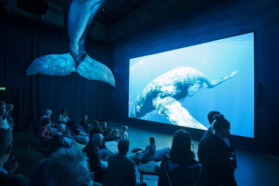 Reykjavik: Whale Watching Tour, Whales of Iceland Exhibition - Comfort tips for cold wind: thermal overalls, deck time, and hearing your guide
