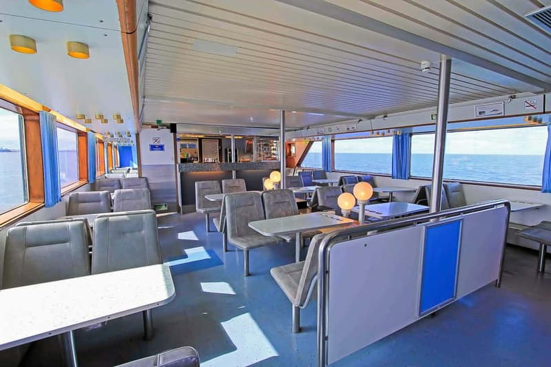 Reykjavik: Whale Watching Tour with Expert Guide - Classic vs Express: Picking the Right Departure Window