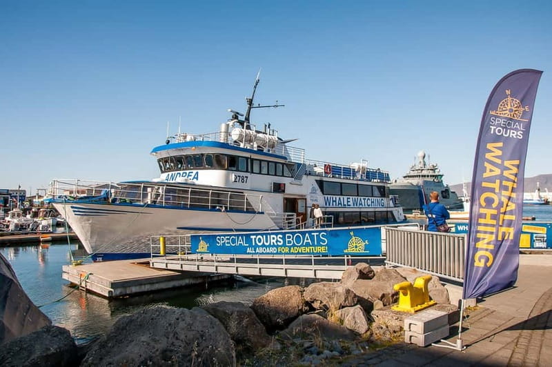 Reykjavik: Whale Watching Tour with Expert Guide - Your “2–3 Hour” Reality: How the Trip Usually Plays Out