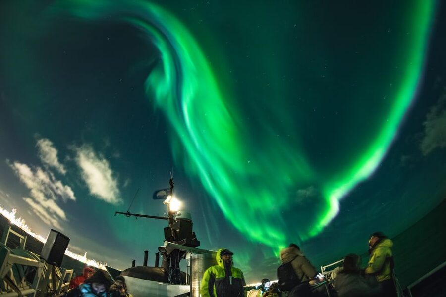 Reykjavik: Whales and Northern Lights Boat Tour - The Guide and Captain Factor: Better Spotting, Better Timing
