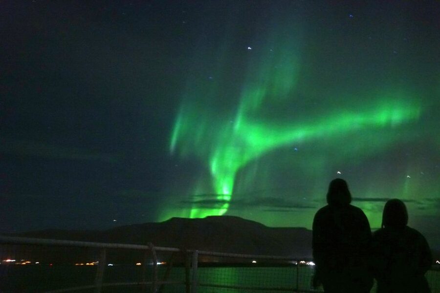 Reykjavik: Whales and Northern Lights Boat Tour - Northern Lights by Boat: Why Being Away from City Lights Helps