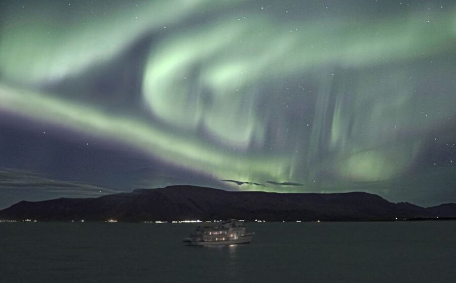 Reykjavik: Whales and Northern Lights Boat Tour - What’s Included, What’s Not, and Where the Value Comes From