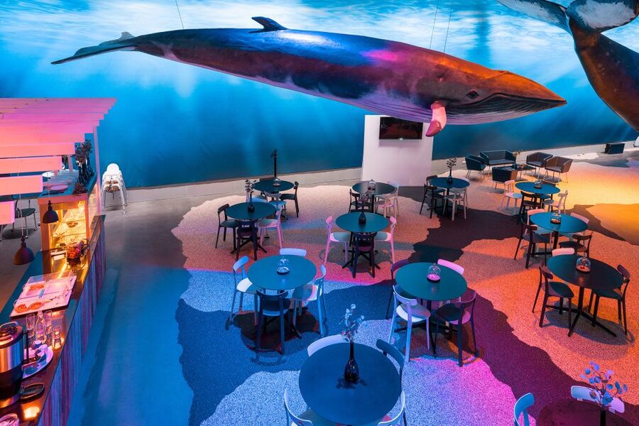 Reykjavik: Whales of Iceland Museum Entrance Ticket - Who should book this whale museum in Reykjavík?