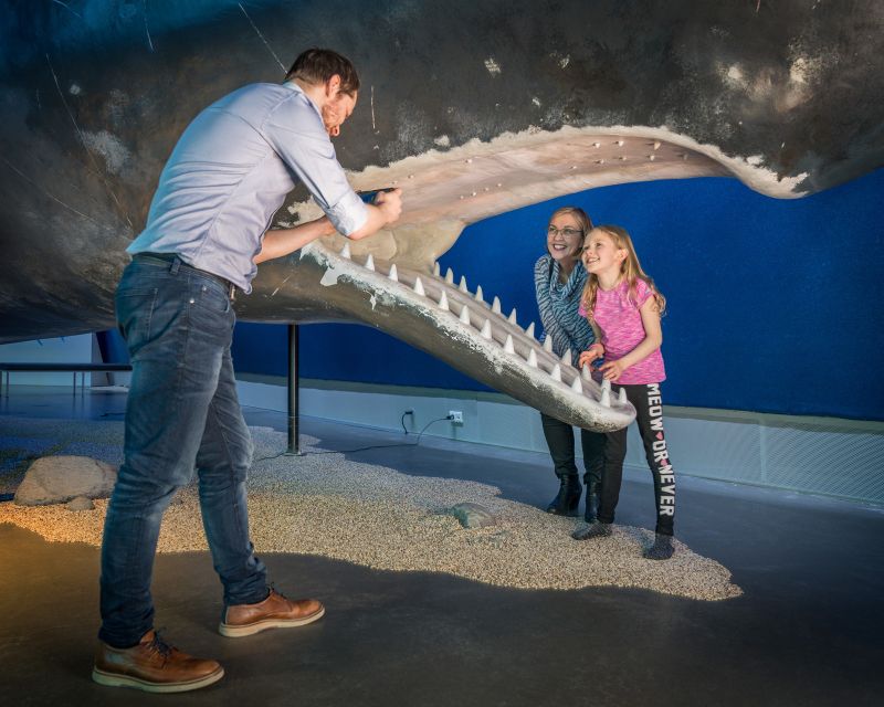 Reykjavik: Whales of Iceland Museum Entrance Ticket - The free audio guide: your best option for learning at your pace