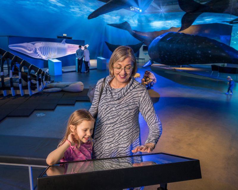 Reykjavik: Whales of Iceland Museum Entrance Ticket - Timing and flow: how long you likely need