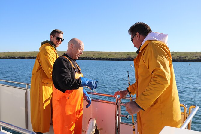 Sea Fishing Experience from Reykjavik - Key things to know before you cast off