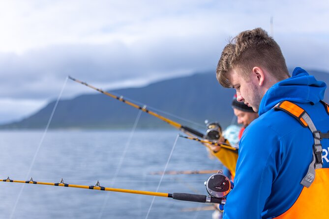 Sea Fishing Experience from Reykjavik - Reykjavik at 5 pm: where the sea-fishing day starts