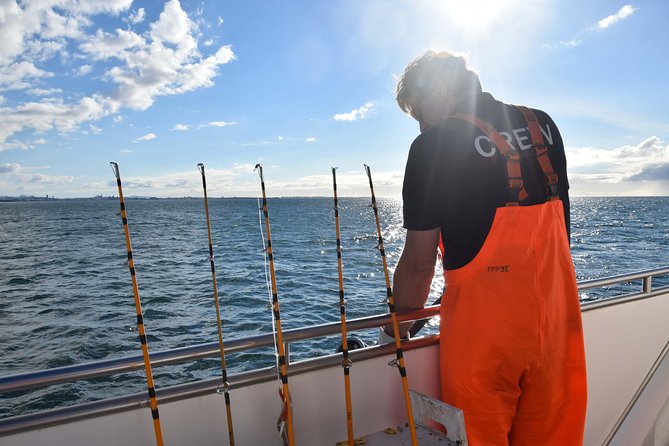 Sea Fishing Experience from Reykjavik - Weather reality: how to think about cancellations and sea conditions