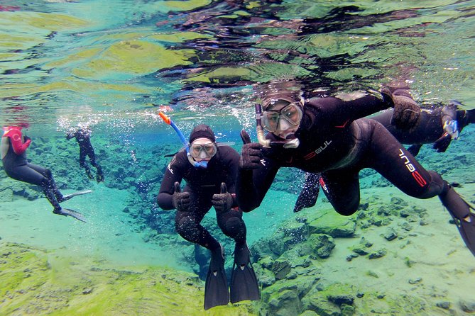 Silfra Drysuit Snorkeling with Free Photos - Meet on Location - Silfra at Thingvellir: the plate-boundary crack you can actually swim through