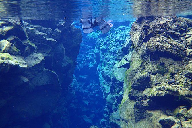 Silfra Fissure Snorkeling From Reykjavík - Free Underwater Photos - Photos, Hot Chocolate, and the Little Extras That Make It Worth It