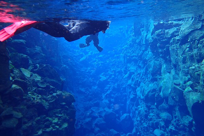 Silfra Fissure Snorkeling From Reykjavík - Free Underwater Photos - Price and Value for $211.72: What’s Included vs Not
