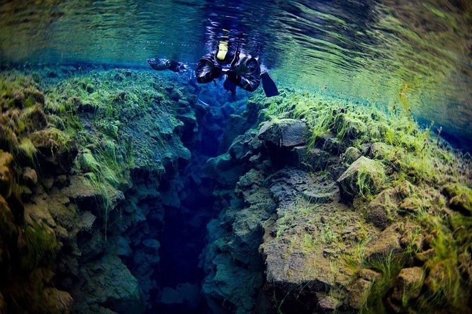 Silfra Fissure Snorkeling From Reykjavík - Free Underwater Photos - Who This Tour Fits Best (and who should skip it)