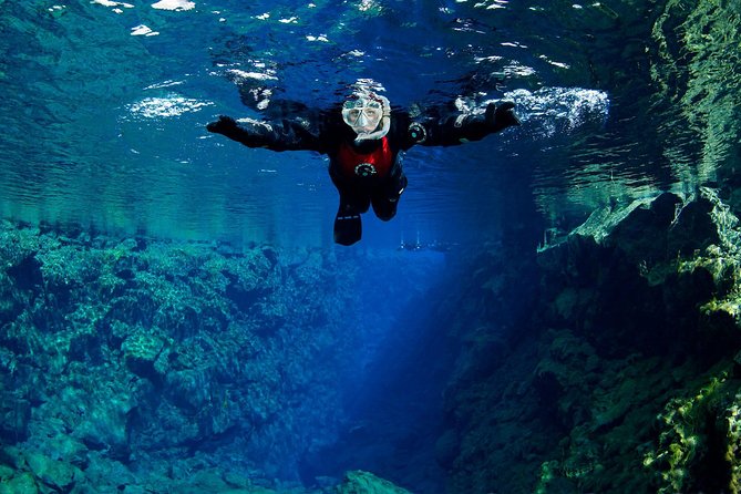 Silfra: Snorkeling Between Tectonic Plates Pick Up from Reykjavik - Guides, safety, and how much swimming you really do