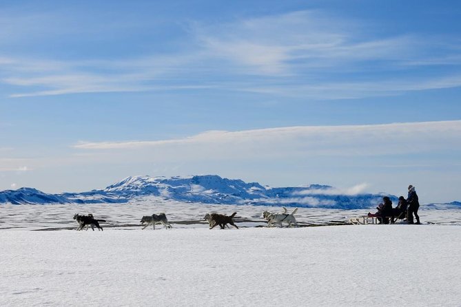 Small Group Husky Sledding Tour from Capital Region - The Mosfellsbær Base Camp Vibe: Family-Run, Dog-First, and Far From Crowds
