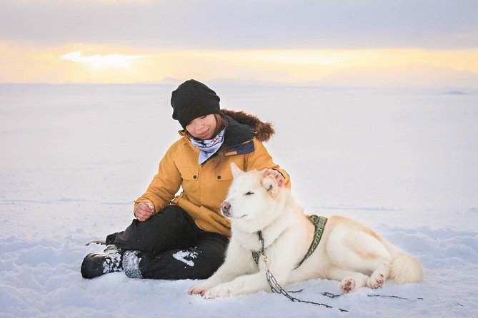 Small Group Husky Sledding Tour from Capital Region - Price and What You’re Actually Paying For: A Short Ride With a Big Human-to-Dog Ratio