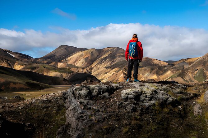 Small Group Landmannalaugar Hike and Hot Springs: Reykjavik/Hella - Price and Value: What $198.23 Buys You in a Long Day