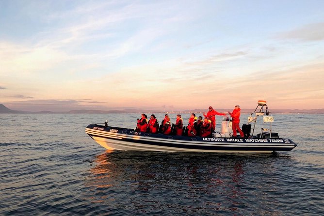 Small-group Whale Watching in the Midnight Sun from Reykjavík - Ægisgarður 5d meeting point: getting ready without stress