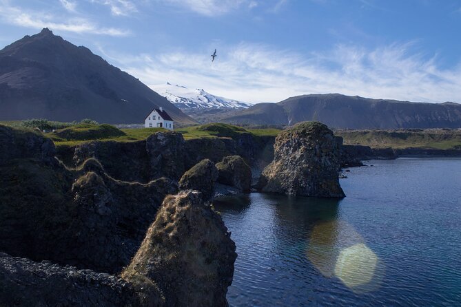 Snæfellsnes in Spanish with lunch on a farm Minibus - Snæfellsnes by minibus: why 12 hours can feel efficient
