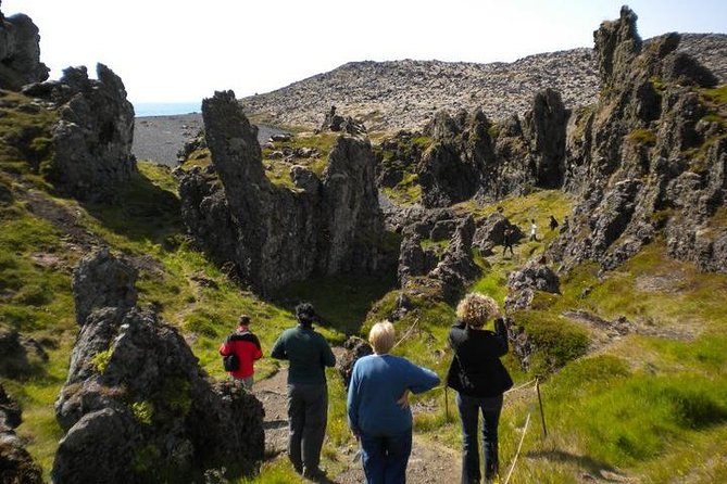 Snaefellsnes National Park and Natural Wonders from Reykjavik - Ytri Tunga Seals: A 30-Minute Wildlife Stop That Changes the Mood
