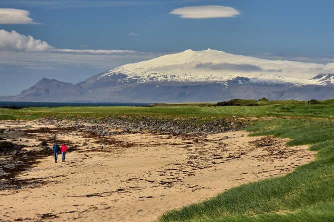 Snaefellsnes NP Small-Group Tour with Local Lunch from Reykjavik - What the driver-guide adds (and why small groups help)