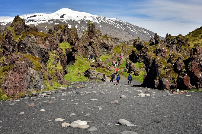 Snaefellsnes NP Small-Group Tour with Local Lunch from Reykjavik - Who this tour suits best