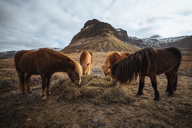Snæfellsnes Peninsula | Private tour | PRO Photos included - Heading back to Reykjavik with 20 pro photos