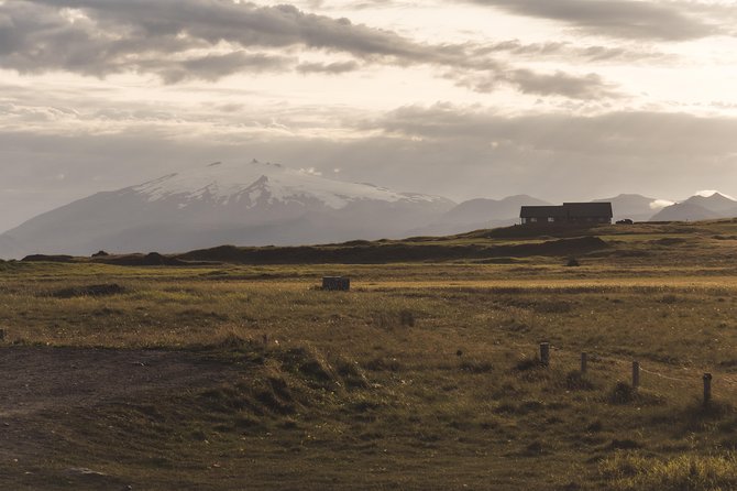 Snaefellsnes Small Group Tour with Homemade Meal from Reykjavik - Ytri Tunga Seals: The Beach Stop That Can Still Surprise You
