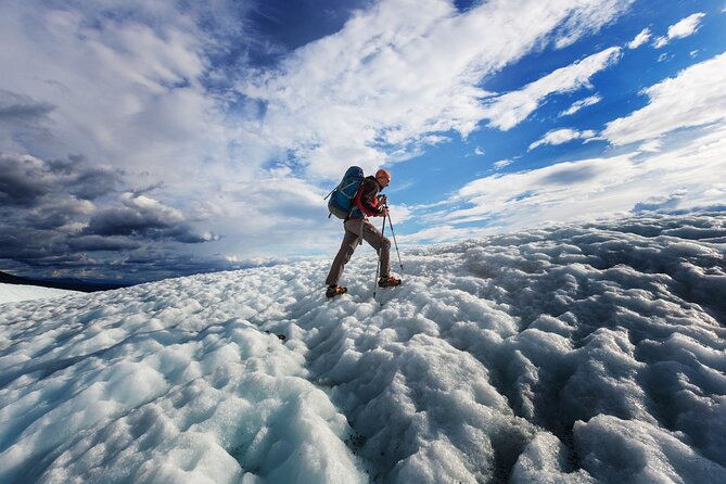 South Coast and Glacier Walk Full day Private Tour From Reykjavík - Key highlights worth knowing