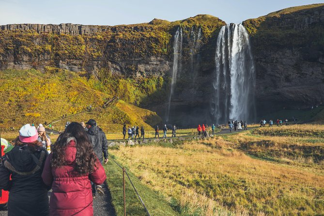 South Coast Day Tour Black Sand Beach & Waterfalls from Reykjavik - Stop 3: Reynisfjara Black Sand Beach, Basalt Formations, and Wave Safety