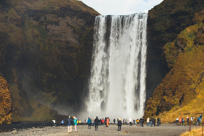 South Coast Day Tour Black Sand Beach & Waterfalls from Reykjavik - The Guide and Driver Matter More Than You Think