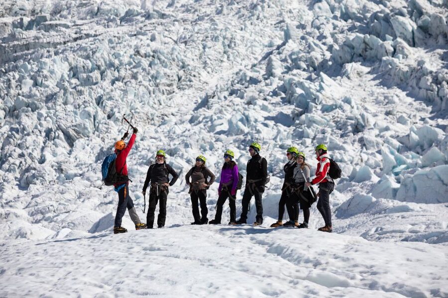 South Coast Iceland: 2-Day Blue Ice Cave & Jokulsarlon Tour - Black Sand Beach Wildlife: The Calm Between the Big Hits