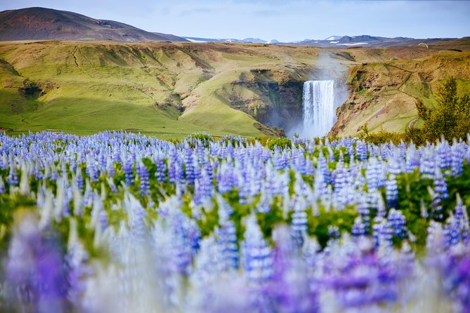 South Coast Iceland from Reykjavik with Guide & Touchscreen Audio - Vík town stop: a practical break before heading back
