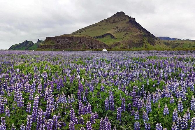 South Coast. Private Day Tour from Reykjavik - The Big Win: Why This South Coast Route Hits Hard