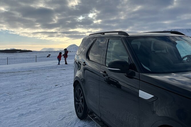 South Coast - Private Tour From Reykjavik. - Stop 3: Dyrhólaey—birds, the arch, and winter road reality