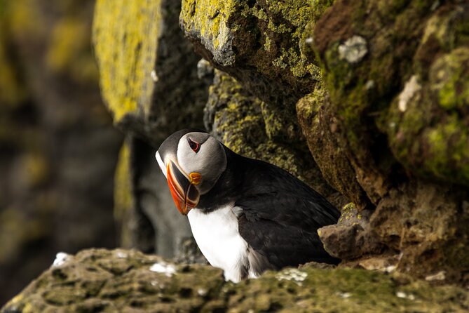 SOUTH COAST : The Discovery - Timing and What a 10-Hour Day Feels Like